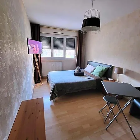 Ideal Pour Deplacement 4 Chambres,5 Lits 旅馆 艾奇罗里斯